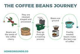 Does Coffee Go Bad Tips To Make Your Beans Last