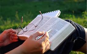 Chica leyemdo un libro wallpaper : Estudiando La Biblia Estudiando Libro Biblia Leyendo Fondo De Pantalla Hd Wallpaperbetter