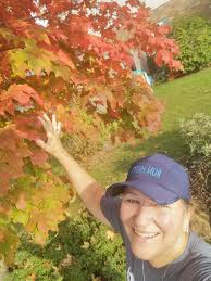 Autumn walks in sunlight for relaxation