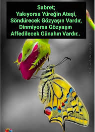 Nermin Adli Kullanicinin Guzel Sozler Panosundaki Pin Tintin Guzel Soz Ozlu Sozler