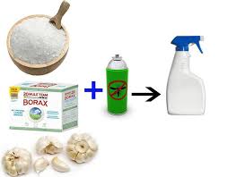 10 How To Get Rid Of Fleas In Your House Without Bombing Homemade Flea Spray Flea In House Flea Remedies