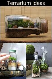 Simple Ideas For Making Your Own Adorable Diy Terrariums Terrarium Diy Terrarium Garden Terrarium