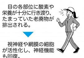 眼科医考案 白内障予防の歩き方 目の毛細血管の血流を促せば視界クッキリ カラダネ 血流 治療 目