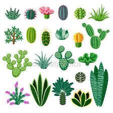 Para decorar tu oficina te proponemos varias opciones con cactus y crasas. Descargar Cactus Y Suculentas Ilustracion De Stock 107150318 Ilustracion De Cactus Cactus Y Suculentas Cactus Dibujo