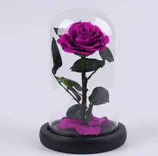 Eternal fresh flower preserved rose handmade gift for her +glass cover. Amazon Com The Ultimate Beauty And The Beast Keepsake Forever Flowers Preserved Real Fresh Rose In Glass Dome Cover With Gift Box For Her Valentine S Day Mother S Day Anniversary Birthday Wedding Purple Kitchen Dining