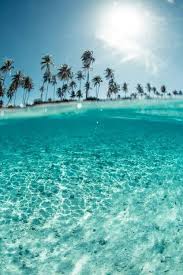 Pin By Antonella Rodriguez Vasquez On Fondos De Pantalla Beach Tumblr Summer Wallpaper Nature Photography