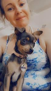 What do you think of this puppy's growing features?