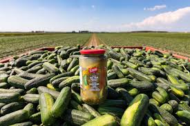 They're great, but i've been wanting to make some with a little more spice added. Whyte S Foods Celebrating National Pickle Day