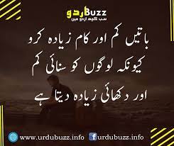 Pin On Motivational Urdu Quotes