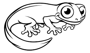 13 best ds s harry potter colouring book pleted pages from newt scamander coloring pages. Newt Stock Illustrations 1 095 Newt Stock Illustrations Vectors Clipart Dreamstime