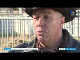 Anaïs Bernard, l'ostéopathe qui murmure à l'oreille des taureaux