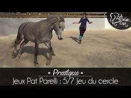 Voici la description des 7 jeux de pat parelli qui ont été découpés maintenant en exercices regroupés par le haras de la cense www.lacense.com/home/. Pratique Jeux Pat Parelli 5 7 Jeu Du Cercle