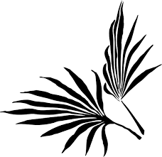 Oak leaf, palm tree, pine tree 1, pine tree 2 and geometric maple leaf. Palm Leaf Clip Art At Clker Palm Leaf Vector Png Transparent Png Large Size Png Image Pikpng