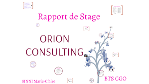 Voir tousles rapport de stage. Rapport De Stage Bts Cgo 2015 2016 By Marie Claire Sinni
