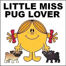 Little Miss Pug Lover Pugs Cute Pugs Pug Love