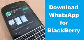 You can download black berry z10 pc suite software for mac os, windows xp,7 and 8. E Widget Download Domino For Blackberry Z10 Download Palmchat Messenger For Q10 Z10 And Other The Official Amazon Kindle App For Bb10 Is A Rather Sad And Sorry Port Of