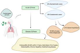 Image result for Q Fever