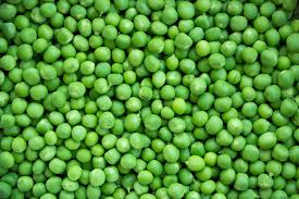 We did not find results for: Green Peas Climate Requirements Best Pea Temperatures For Growth