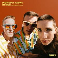 Listen to Everybody Knows I'm High (TOBEHONEST Remix) by SHAED in Party  Like Beckii playlist online for free