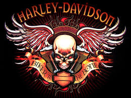 harley davidson logo skull bikes