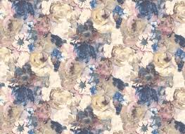 Image result for Indigofera cecilii