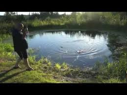 Check spelling or type a new query. Trout Pond Part Ii Youtube