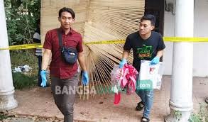 Dengan hanya pake tanktop dengan belahan dada yang rendah banget tapi kali ini perhatian ilham agak teralihkan ke sosok rani, seperti ada yang berbeda dari sosok istri temannya itu. Heboh Sebuah Rumah Di Blitar Disewakan Jadi Tempat Mesum Pelajar Bangsa Online Cepat Lugas Dan Akurat