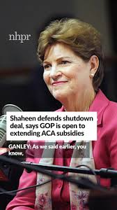 Gov. Chris Sununu lead the countdown to the holiday tree lighting at The  Bridges House in Concord