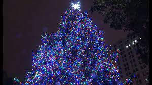 How Many Lights Are On The Chicago Christmas Tree 2021 Chicago S 104th Christmas Tree Lighting Youtube