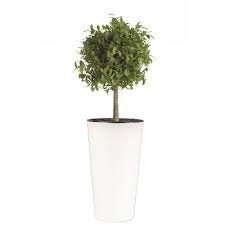 The hc companies 6 inch round plastic capri bowl decorative indoor flower succulent planter pot with drain plug hole. White Flower Pots Target