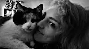 Vocal Himalayan Cat Mallow