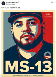 Allan Border's wife steps in amid sad absence from Australian Cricket  Awards