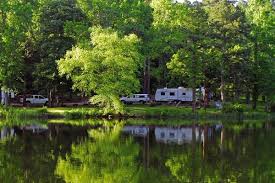 Live bait is no longer available at the park. Tyler State Park Texas Parks Wildlife Department Texas State Parks State Parks Best Places To Camp