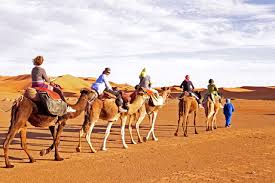 Out in the desert, under the burning sun see the camel walking, having camel fun. Is Camel Riding Ethical How To Have A Cruelty Free Camel Riding Experience