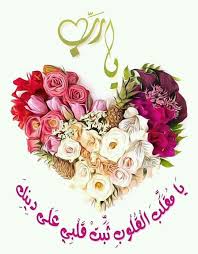 pin by ام ماريا on د عــــاء islamic pictures rooster pictures