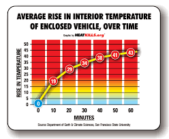 How Hot Can The Interior Of A Car Get And How Quickly