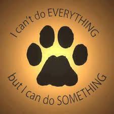 Image result for donate for rescue pets
