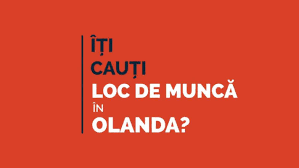 Intra pe ejobs.ro, cel mai mare portal de joburi din romania! Locuri De Munca In Olanda Depozite Fabrici Fara Comision 1250 1950 Euro Oferte Munca