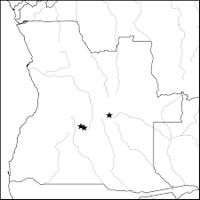 Image result for Baphia bequaertii