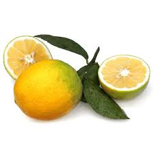 Voir plus d'idées sur le thème bergamote, premiers sons, illustrateur jeunesse. Bergamote Orange From France Agrumes Baches