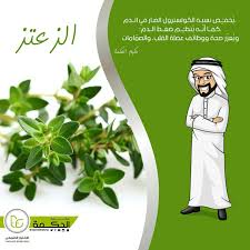 الزعتر يقوي الذاكرة و يزيد من التركيز عطارة الحكمة الاختيار الطبيعي Natural Herbs Herbs Lab Coat