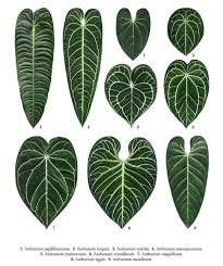 Melambaikan tangan, ikon di 780 free vector emoji ✓ menemukan tempat yang sempurna ikon untuk proyek anda dan download di svg, png, ico atau icns, yang free! Alfiyand Sachio Alfiyand Profile Pinterest