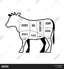 Beef Cuts Chart Cow Vector Photo Free Trial Bigstock