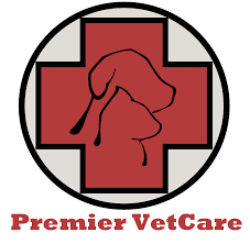 Check poison symptoms, diagnosis & treatments. Premier Vetcare Veterinarian In Smyrna Tn Us