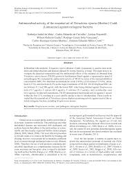 Image result for Tetradenia tanganyikae