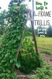 24 stylish garden trellis projects for your home. Pin On Garden Trellis Ideas
