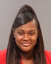 ESTEVEZ, CIERRA BRISHAYNE Charges: CHILD ABUSE/NEGL/ENDANGERMENT  (NON-VIOLENT) CHILD ABUSE/NEGL/ENDANGERMENT (NON-VIOLENT) This information  and more is available https://apps.myocv.com/share/a95737804