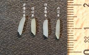 伊朗的長條米到底是什麼品種？適合下飯嗎？