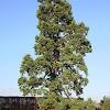 Und nutzfläche befindet sich im ruhigen stadtteil grüner baum von bayreut, nur. 1