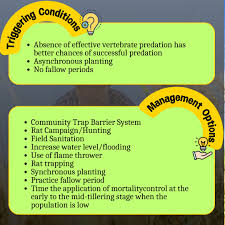 Profile for Jonathan Abing